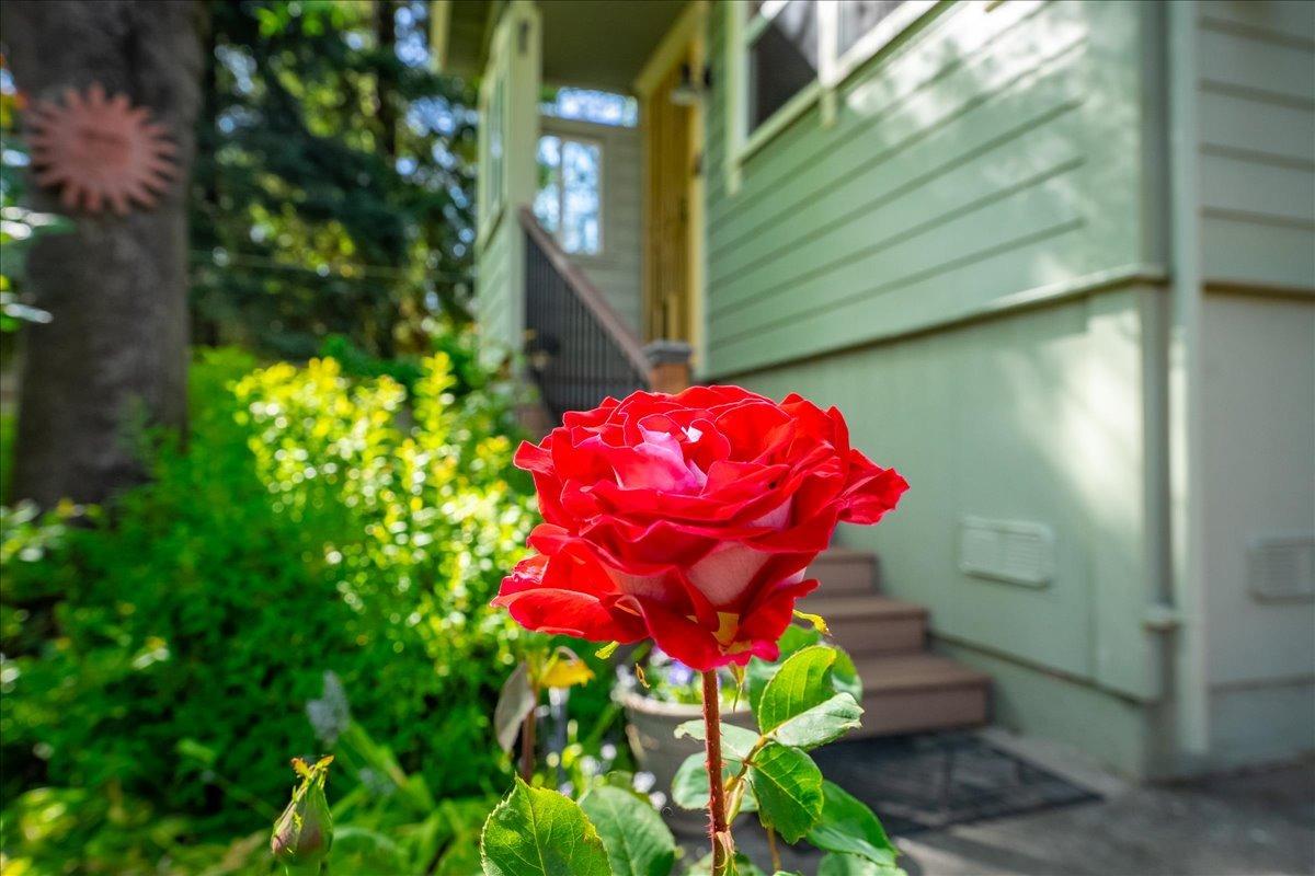 Detail Gallery Image 57 of 70 For 30 W Grass Valley St, Colfax,  CA 95713 - 4 Beds | 2 Baths