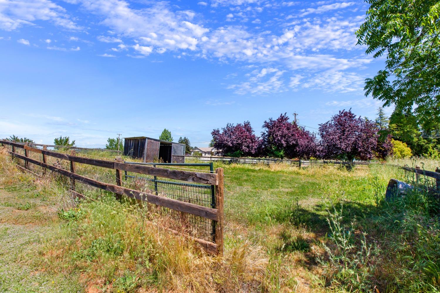 Talon Drive, Shingle Springs, California image 43
