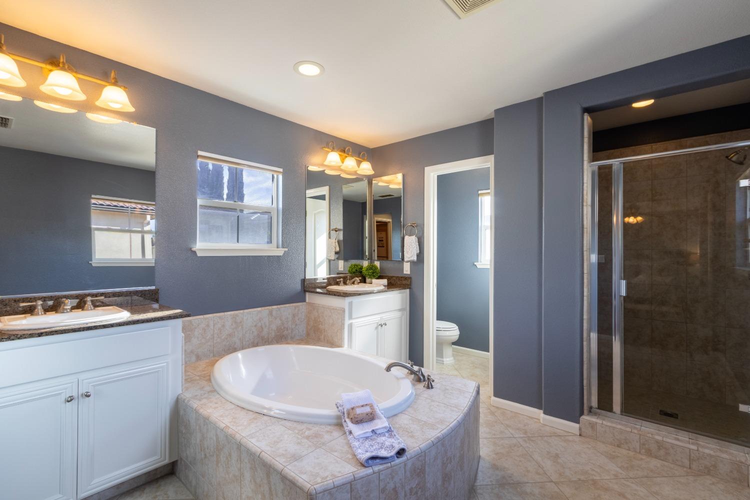 Detail Gallery Image 38 of 86 For 306 W Conejo Ave, Mountain House,  CA 95391 - 5 Beds | 4 Baths