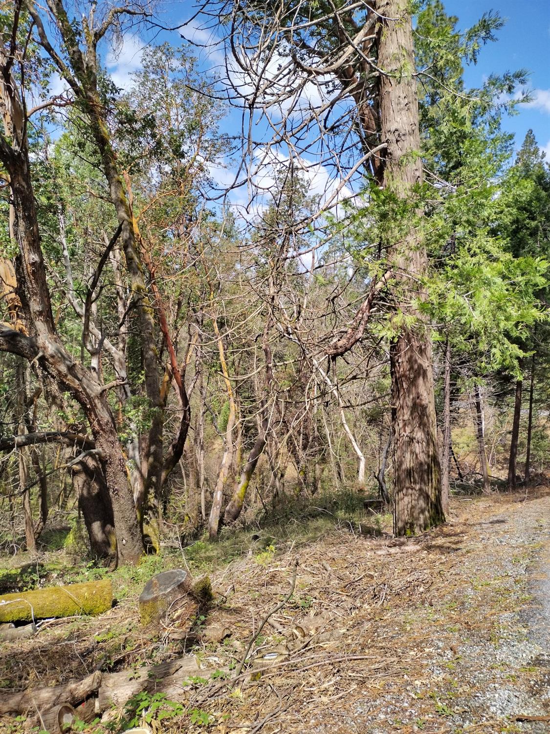 State Highway 193, Georgetown, California image 13