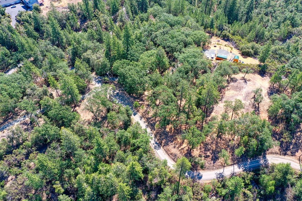Detail Gallery Image 31 of 59 For 0 John Muir Dr, Colfax,  CA 95713 - – Beds | – Baths