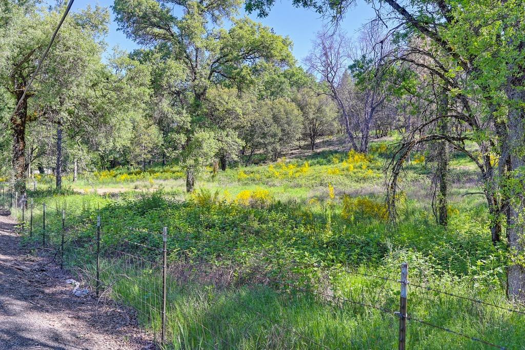 Greenwood Road, Garden Valley, California image 4
