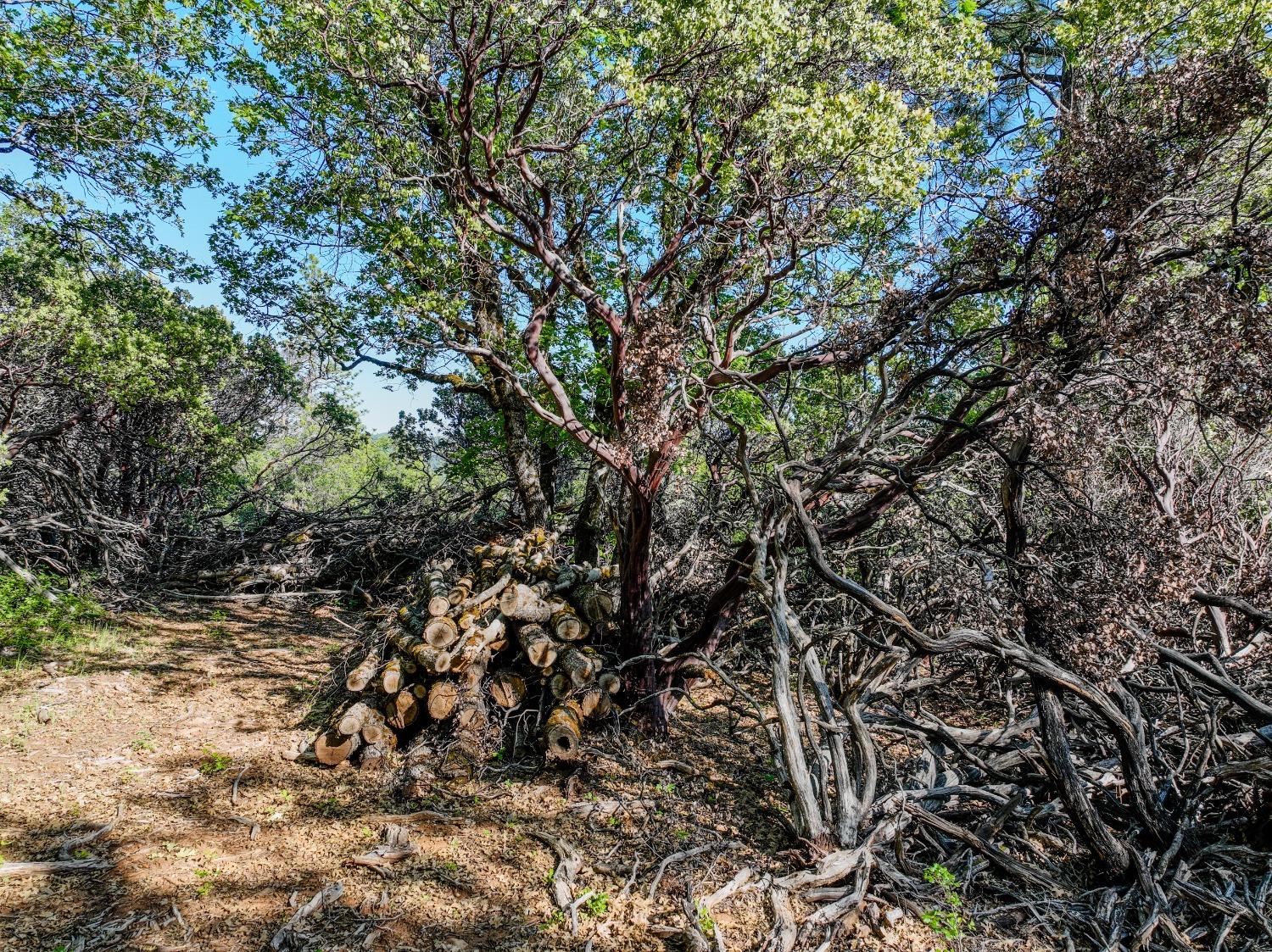 Detail Gallery Image 9 of 32 For 21160 Kuntz Rd, Nevada City,  CA 95959 - – Beds | – Baths
