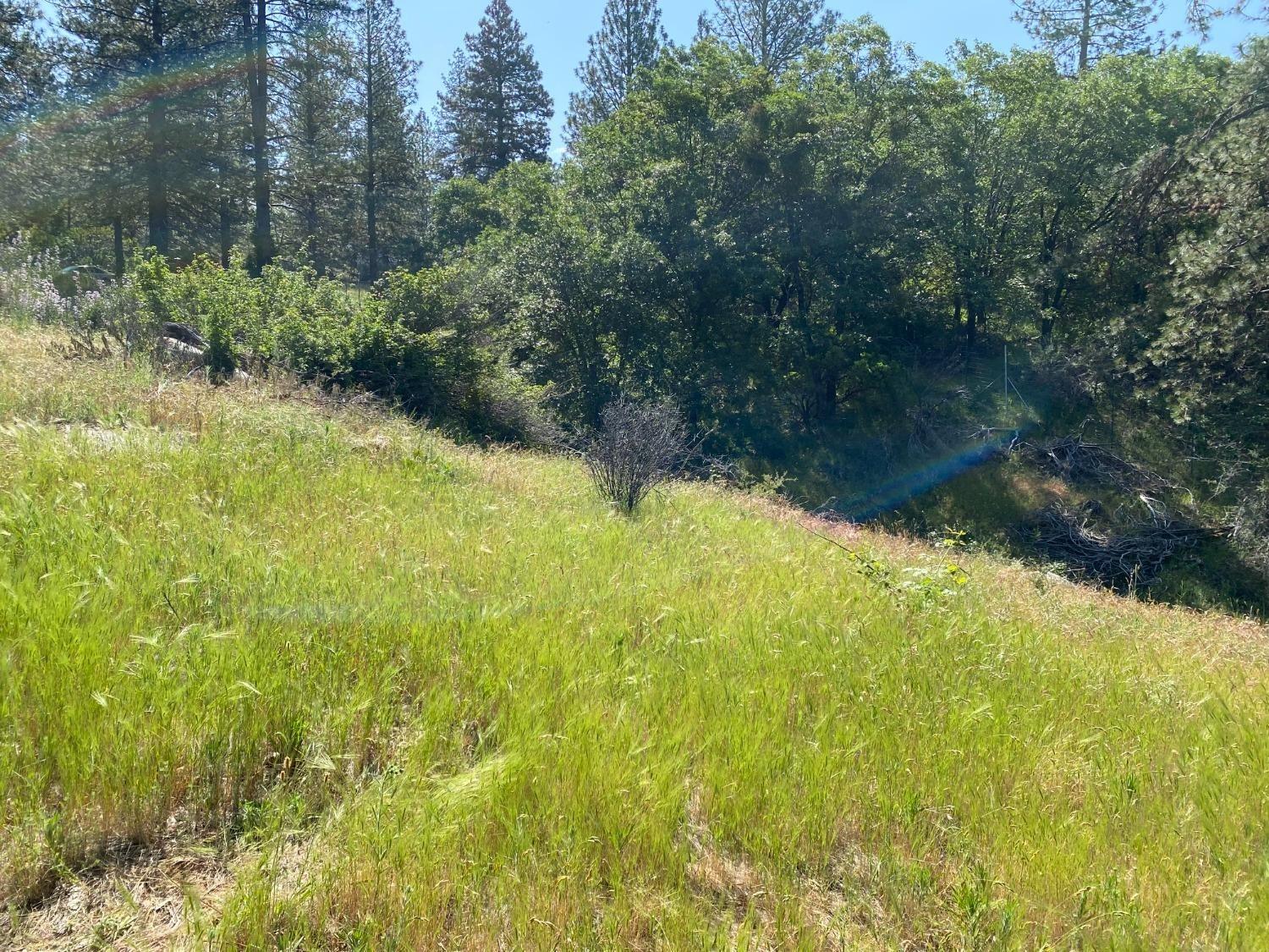 Blue Bonnet, Somerset, California image 12
