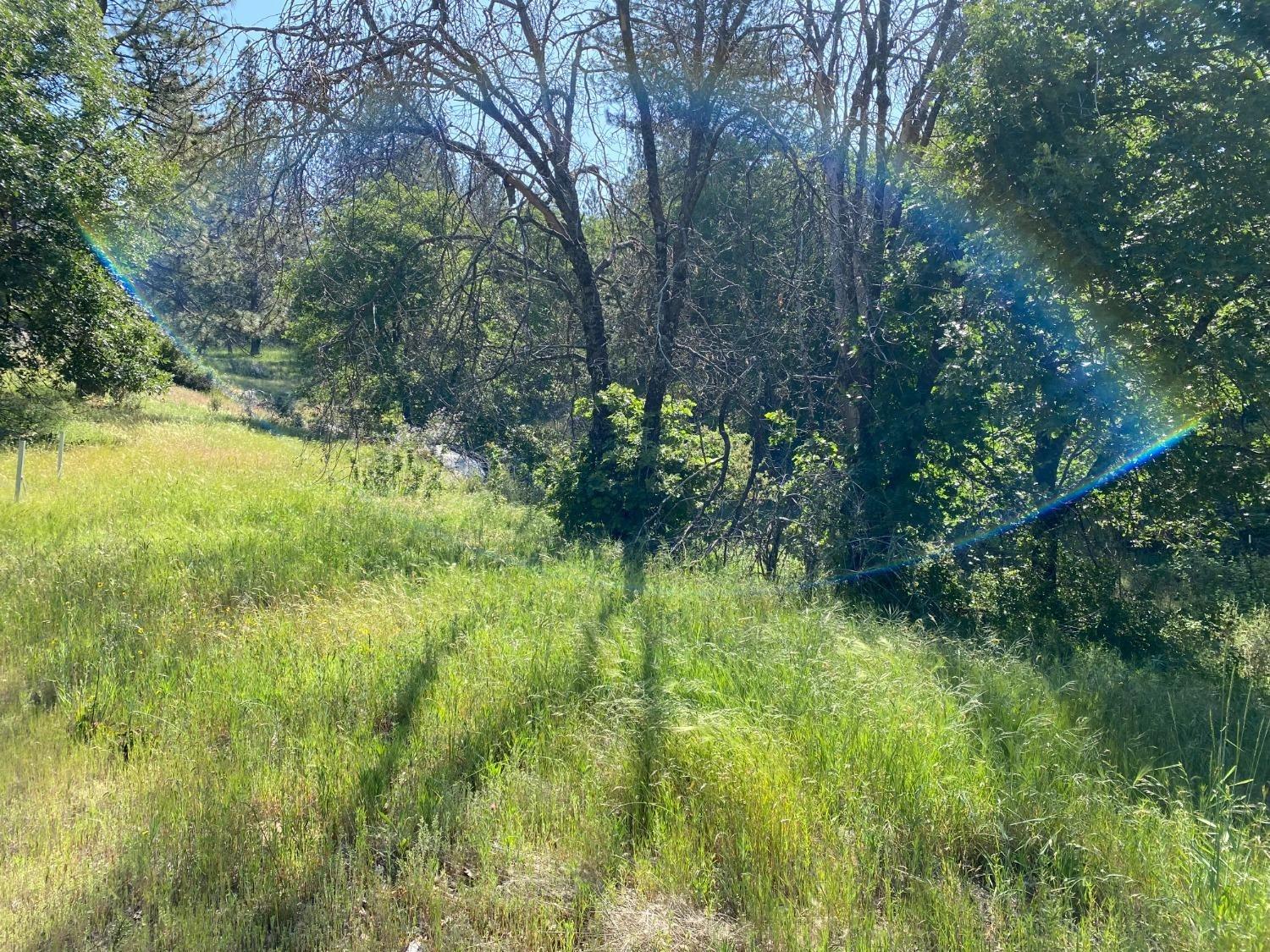 Blue Bonnet, Somerset, California image 9