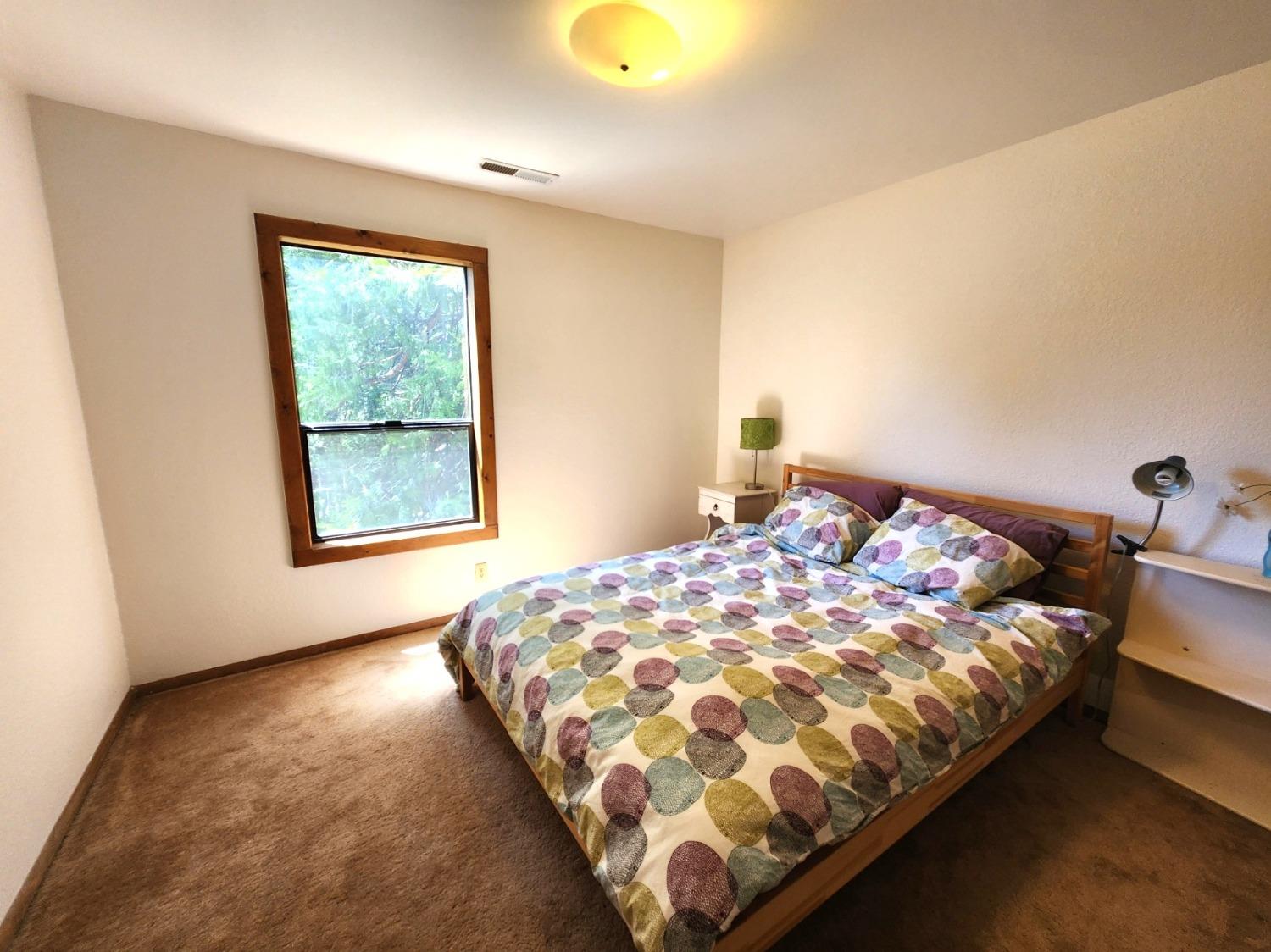 Detail Gallery Image 35 of 84 For 26085 Meadow Dr, Pioneer,  CA 95666 - 3 Beds | 2/1 Baths