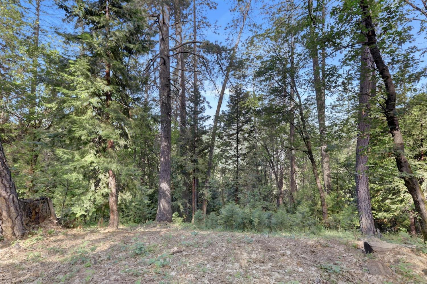 Detail Gallery Image 50 of 75 For 10286 Sugar Pine Ct, Grass Valley,  CA 95949 - 3 Beds | 2 Baths
