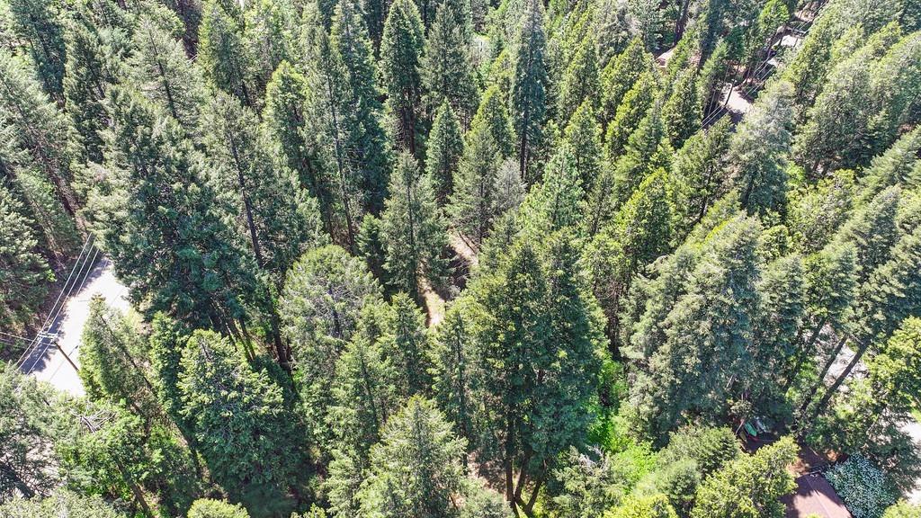 Detail Gallery Image 18 of 40 For 3005 Amber Trl, Pollock Pines,  CA 95726 - – Beds | – Baths