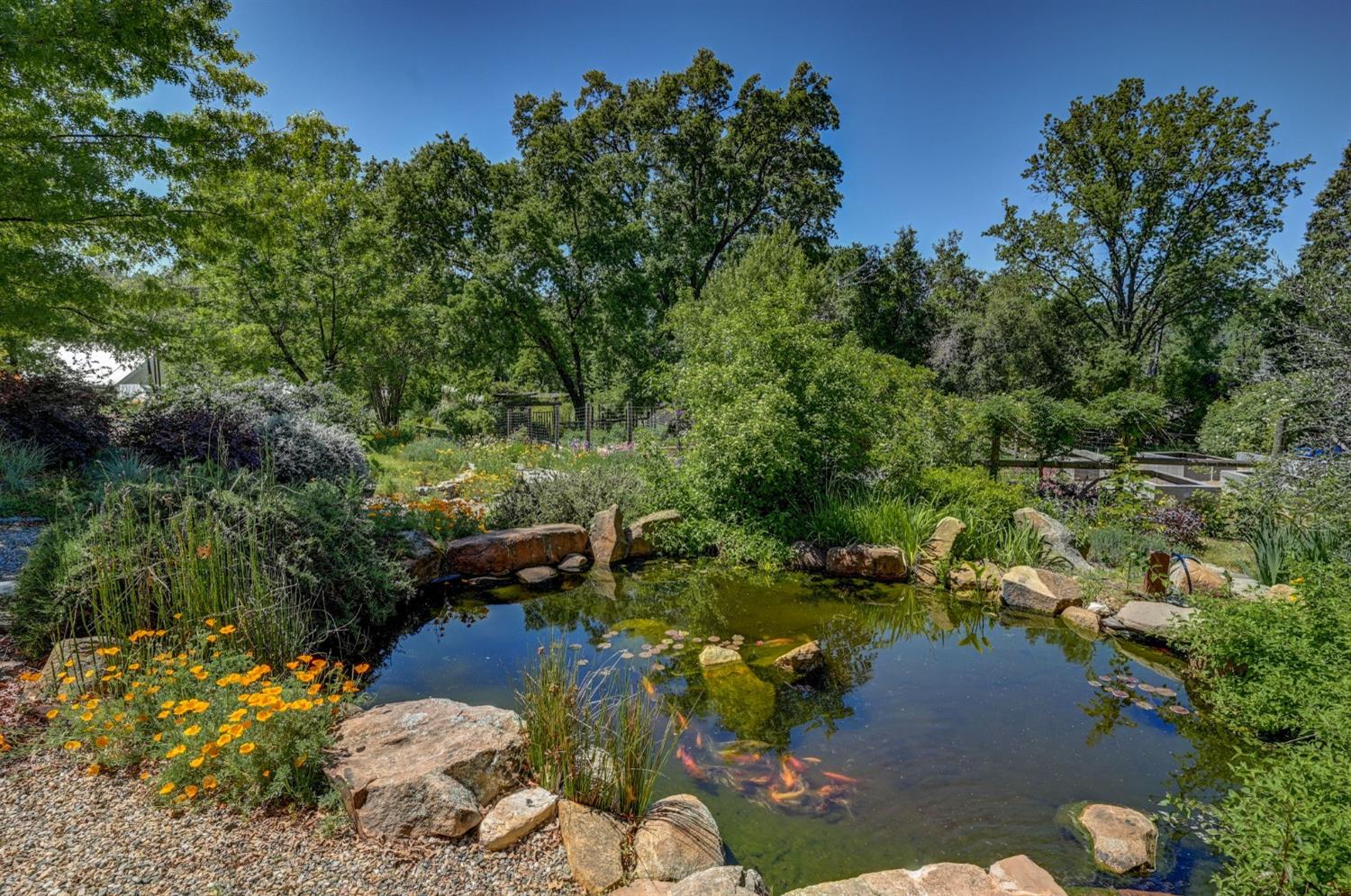 Detail Gallery Image 81 of 92 For 21 Burrows Ln, Murphys,  CA 95247 - 4 Beds | 3 Baths