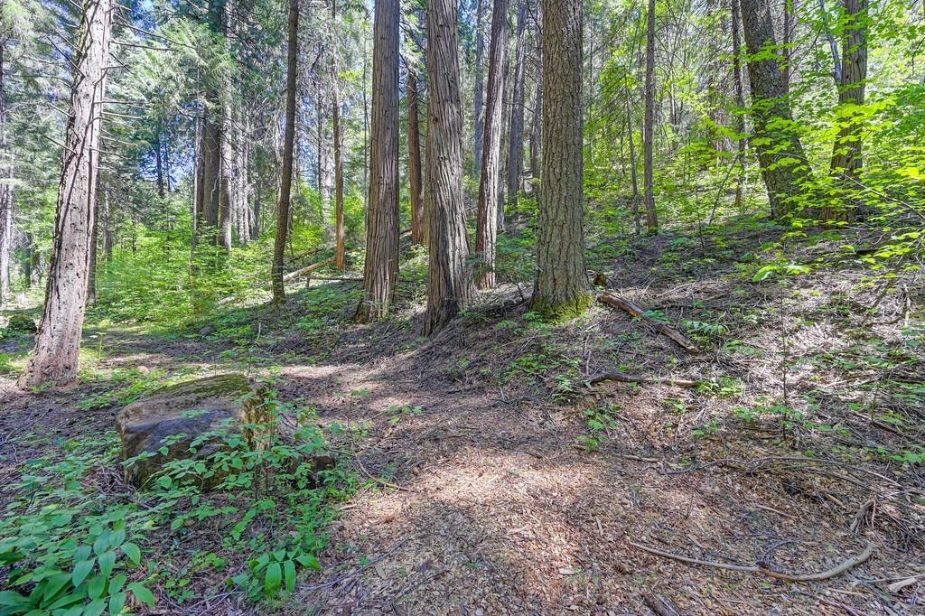 Detail Gallery Image 1 of 40 For 3005 Amber Trl, Pollock Pines,  CA 95726 - – Beds | – Baths