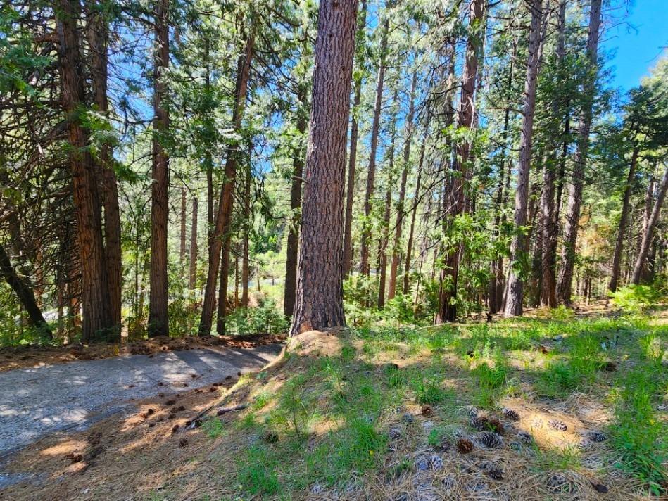 Detail Gallery Image 71 of 84 For 26085 Meadow Dr, Pioneer,  CA 95666 - 3 Beds | 2/1 Baths