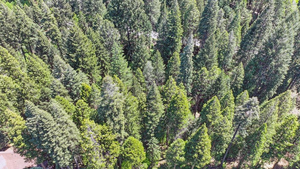 Detail Gallery Image 16 of 40 For 3005 Amber Trl, Pollock Pines,  CA 95726 - – Beds | – Baths