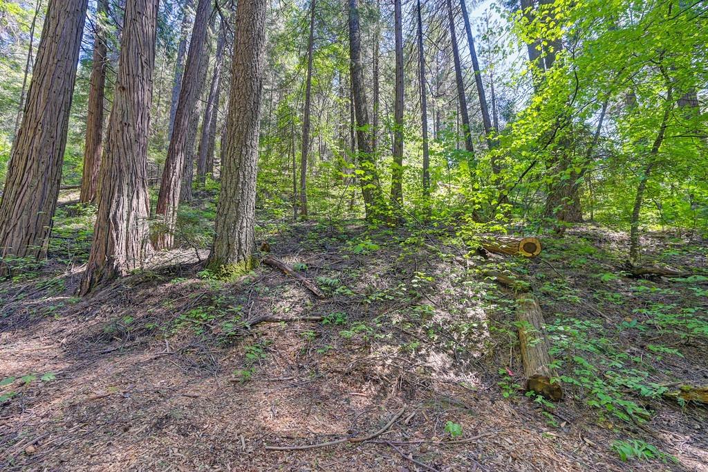 Detail Gallery Image 11 of 40 For 3005 Amber Trl, Pollock Pines,  CA 95726 - – Beds | – Baths