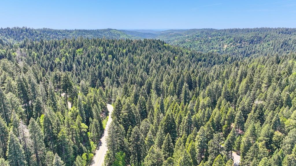 Detail Gallery Image 39 of 40 For 3005 Amber Trl, Pollock Pines,  CA 95726 - – Beds | – Baths