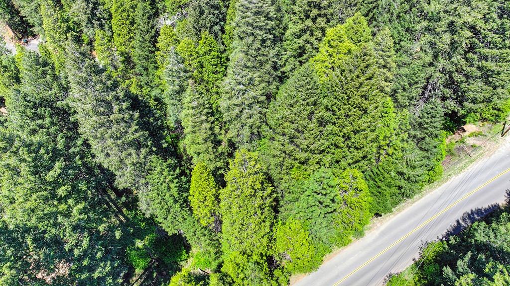 Detail Gallery Image 21 of 40 For 3005 Amber Trl, Pollock Pines,  CA 95726 - – Beds | – Baths