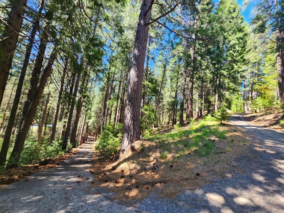 Detail Gallery Image 73 of 84 For 26085 Meadow Dr, Pioneer,  CA 95666 - 3 Beds | 2/1 Baths