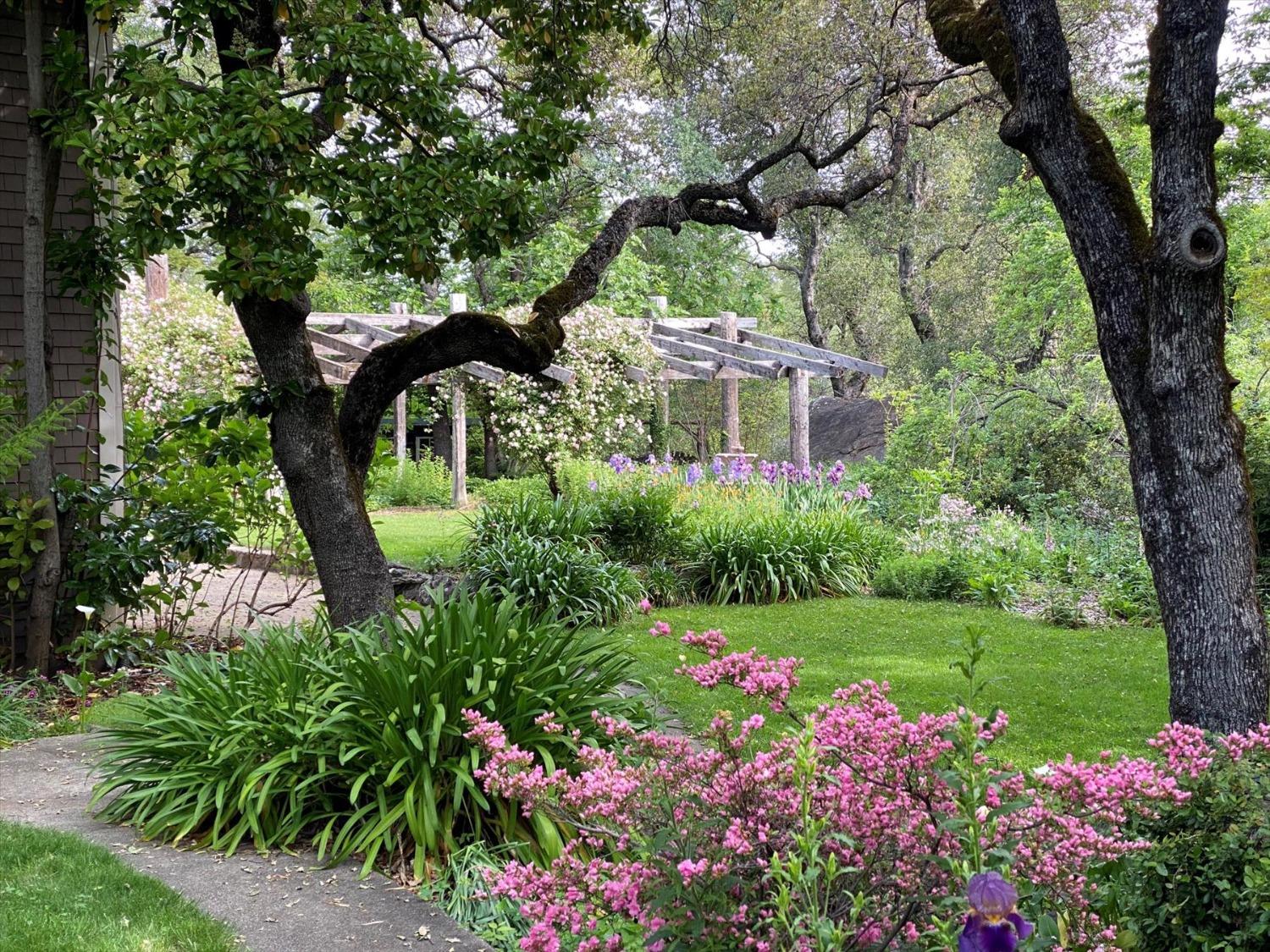 Detail Gallery Image 66 of 99 For 14511 Clear Creek Pl, Grass Valley,  CA 95949 - 3 Beds | 2 Baths