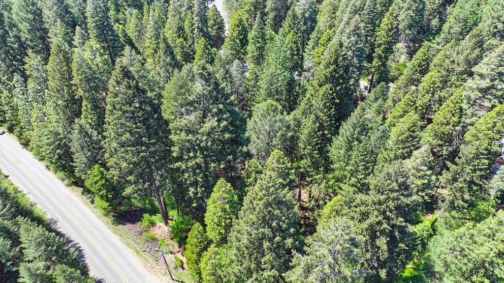 Detail Gallery Image 19 of 40 For 3005 Amber Trl, Pollock Pines,  CA 95726 - – Beds | – Baths