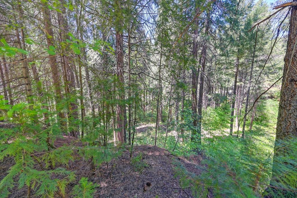 Detail Gallery Image 26 of 40 For 3005 Amber Trl, Pollock Pines,  CA 95726 - – Beds | – Baths