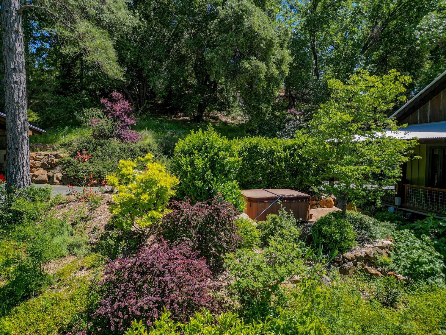 Detail Gallery Image 89 of 92 For 21 Burrows Ln, Murphys,  CA 95247 - 4 Beds | 3 Baths