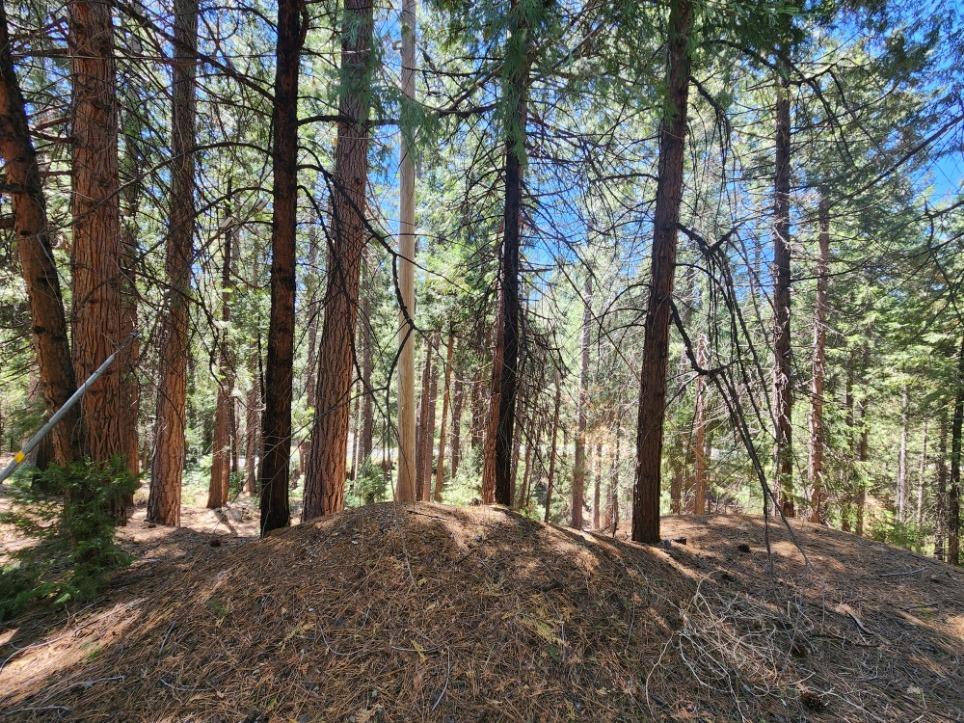Detail Gallery Image 66 of 84 For 26085 Meadow Dr, Pioneer,  CA 95666 - 3 Beds | 2/1 Baths