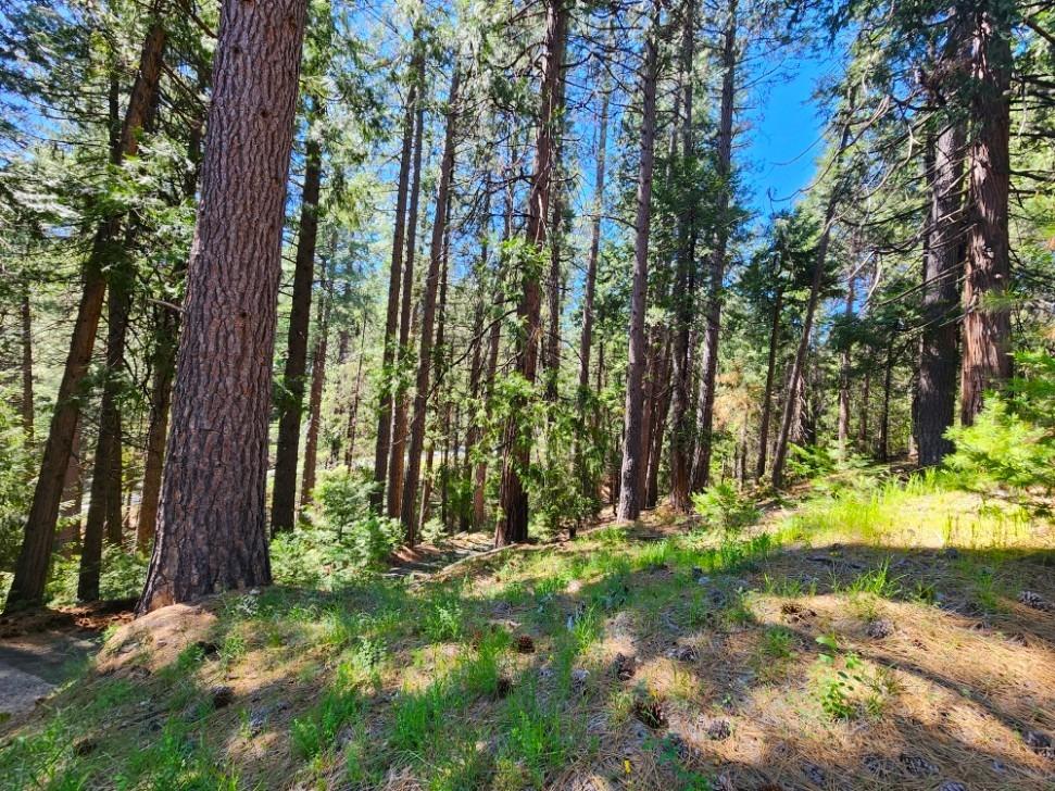 Detail Gallery Image 70 of 84 For 26085 Meadow Dr, Pioneer,  CA 95666 - 3 Beds | 2/1 Baths