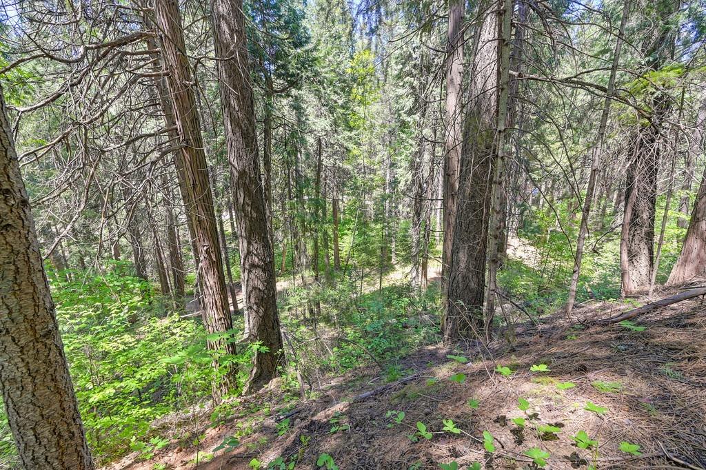 Detail Gallery Image 14 of 40 For 3005 Amber Trl, Pollock Pines,  CA 95726 - – Beds | – Baths