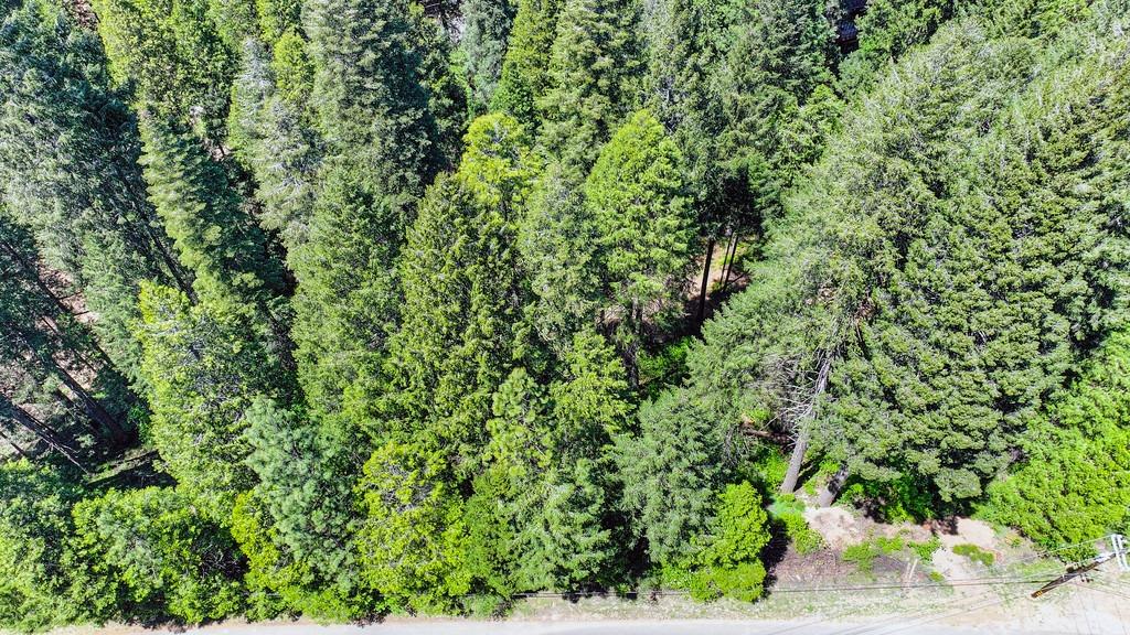 Detail Gallery Image 20 of 40 For 3005 Amber Trl, Pollock Pines,  CA 95726 - – Beds | – Baths