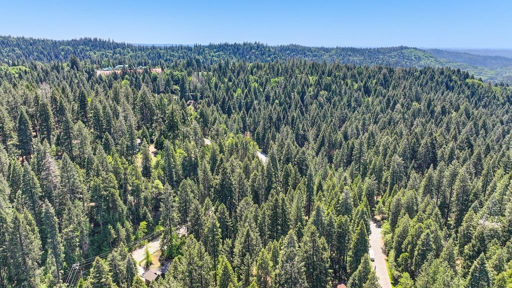 Detail Gallery Image 38 of 40 For 3005 Amber Trl, Pollock Pines,  CA 95726 - – Beds | – Baths