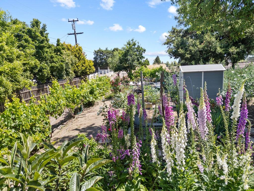 Detail Gallery Image 40 of 46 For 2119 Tioga Ave, Oakdale,  CA 95361 - 3 Beds | 2 Baths