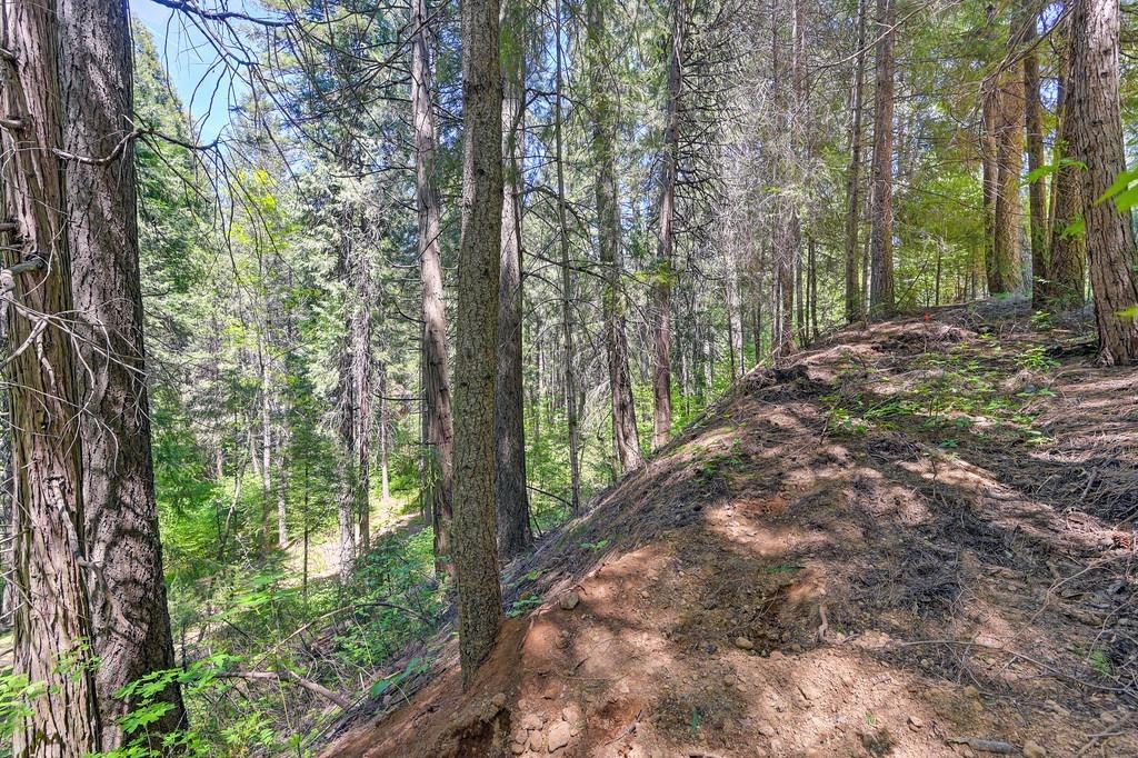 Detail Gallery Image 29 of 40 For 3005 Amber Trl, Pollock Pines,  CA 95726 - – Beds | – Baths