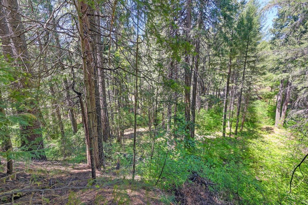 Detail Gallery Image 5 of 40 For 3005 Amber Trl, Pollock Pines,  CA 95726 - – Beds | – Baths