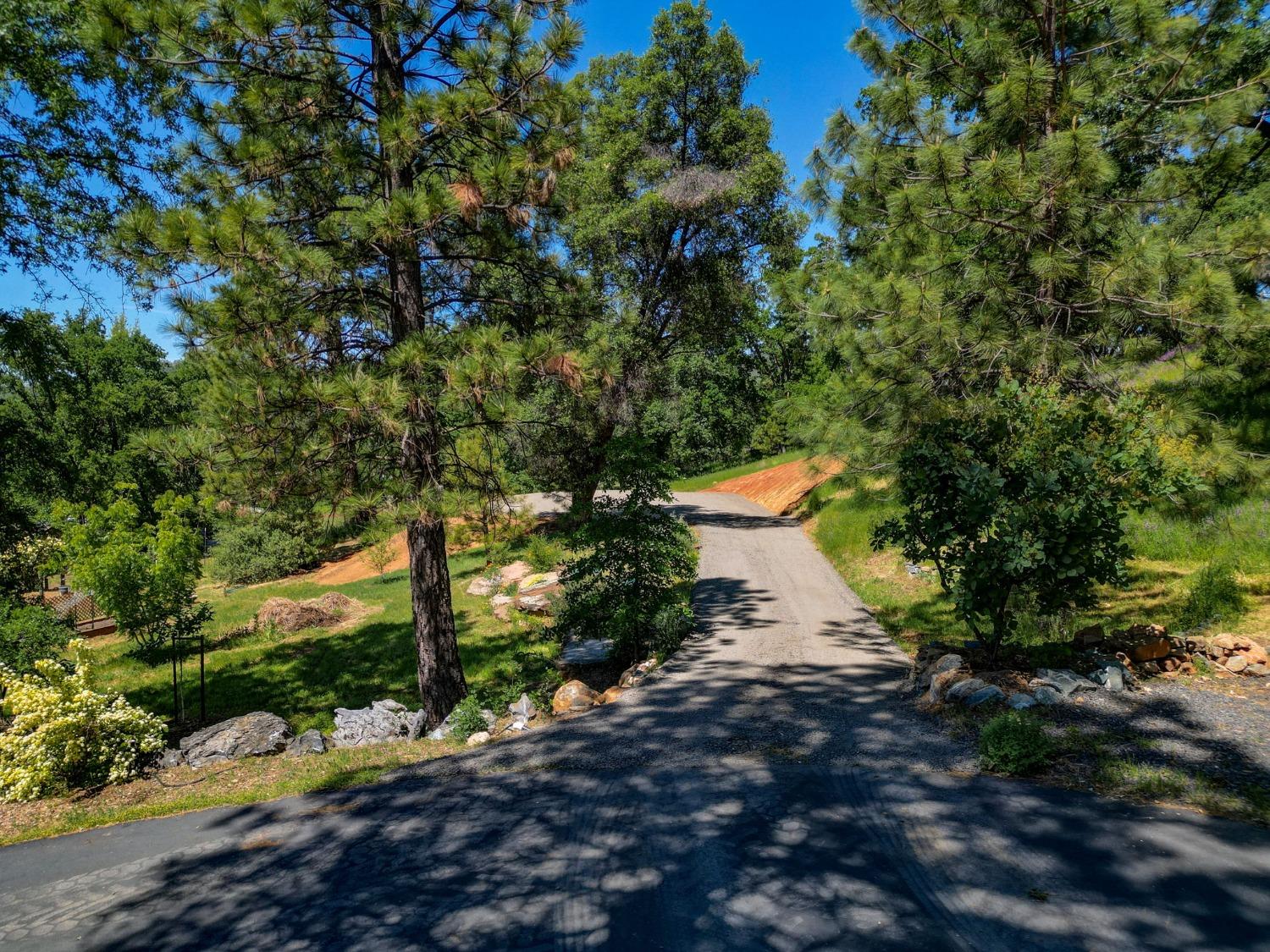 Detail Gallery Image 86 of 92 For 21 Burrows Ln, Murphys,  CA 95247 - 4 Beds | 3 Baths
