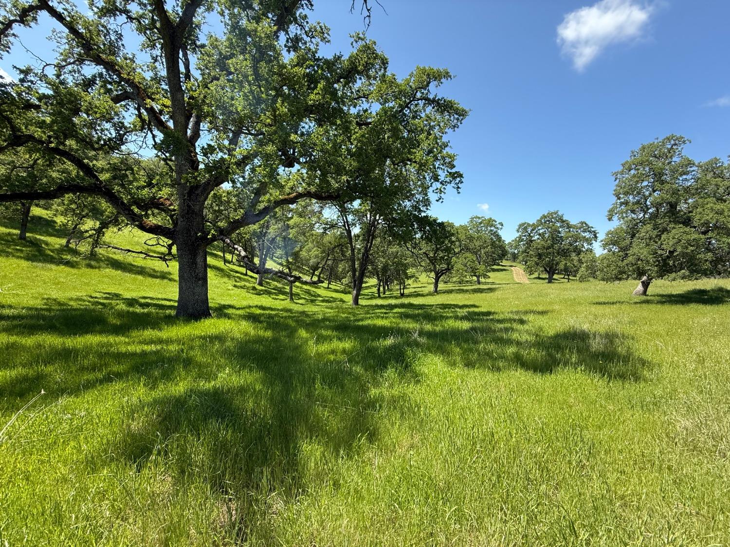 Detail Gallery Image 75 of 87 For 14801 Vaira Ranch Rd, Drytown,  CA 95699 - 4 Beds | 3 Baths