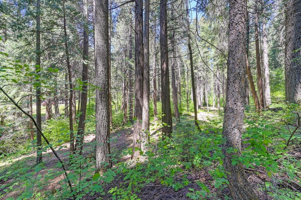 Detail Gallery Image 3 of 40 For 3005 Amber Trl, Pollock Pines,  CA 95726 - – Beds | – Baths