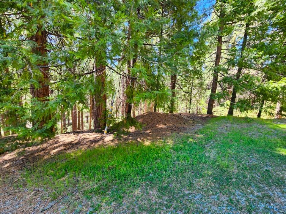 Detail Gallery Image 65 of 84 For 26085 Meadow Dr, Pioneer,  CA 95666 - 3 Beds | 2/1 Baths