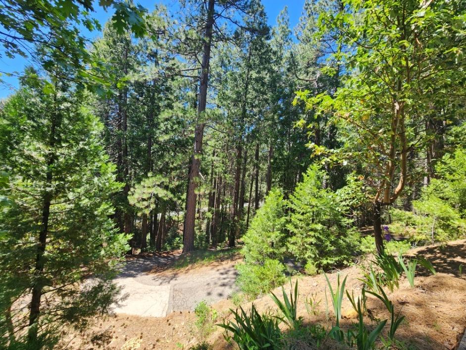 Detail Gallery Image 68 of 84 For 26085 Meadow Dr, Pioneer,  CA 95666 - 3 Beds | 2/1 Baths