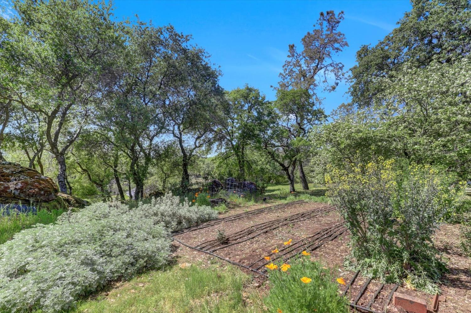 Detail Gallery Image 63 of 99 For 14511 Clear Creek Pl, Grass Valley,  CA 95949 - 3 Beds | 2 Baths
