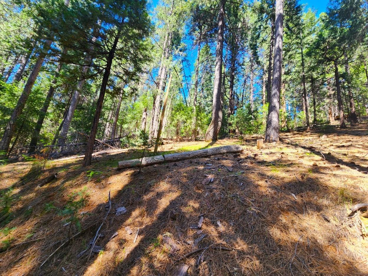 Detail Gallery Image 79 of 84 For 26085 Meadow Dr, Pioneer,  CA 95666 - 3 Beds | 2/1 Baths