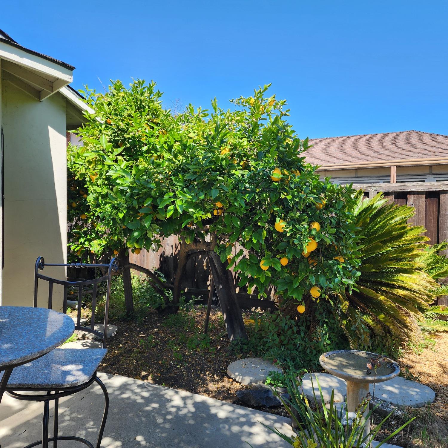 Detail Gallery Image 33 of 33 For 248 Alturas Avenue, Sunnyvale,  CA 94085 - 3 Beds | 2 Baths
