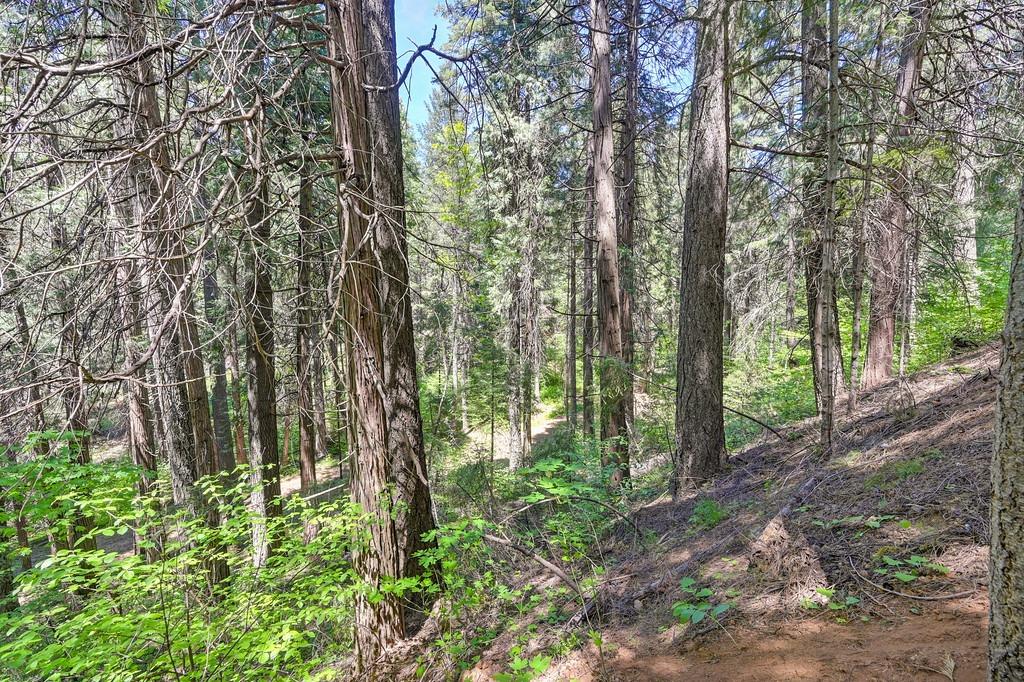 Detail Gallery Image 27 of 40 For 3005 Amber Trl, Pollock Pines,  CA 95726 - – Beds | – Baths