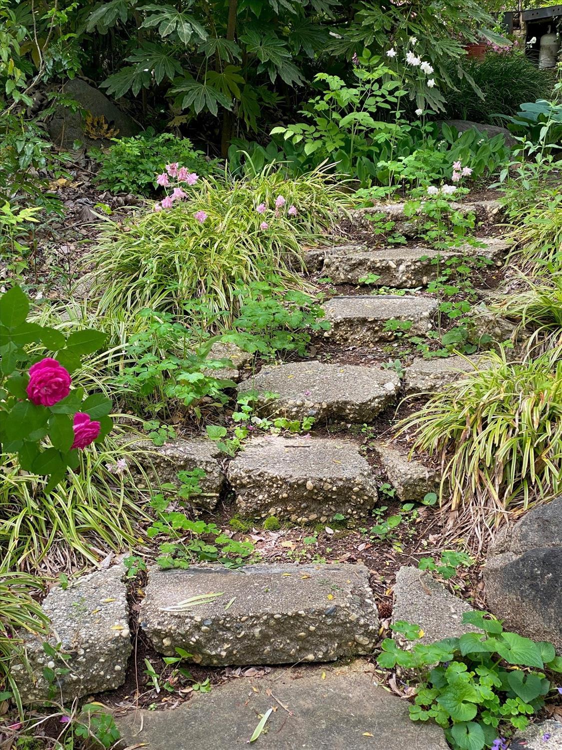 Detail Gallery Image 78 of 99 For 14511 Clear Creek Pl, Grass Valley,  CA 95949 - 3 Beds | 2 Baths