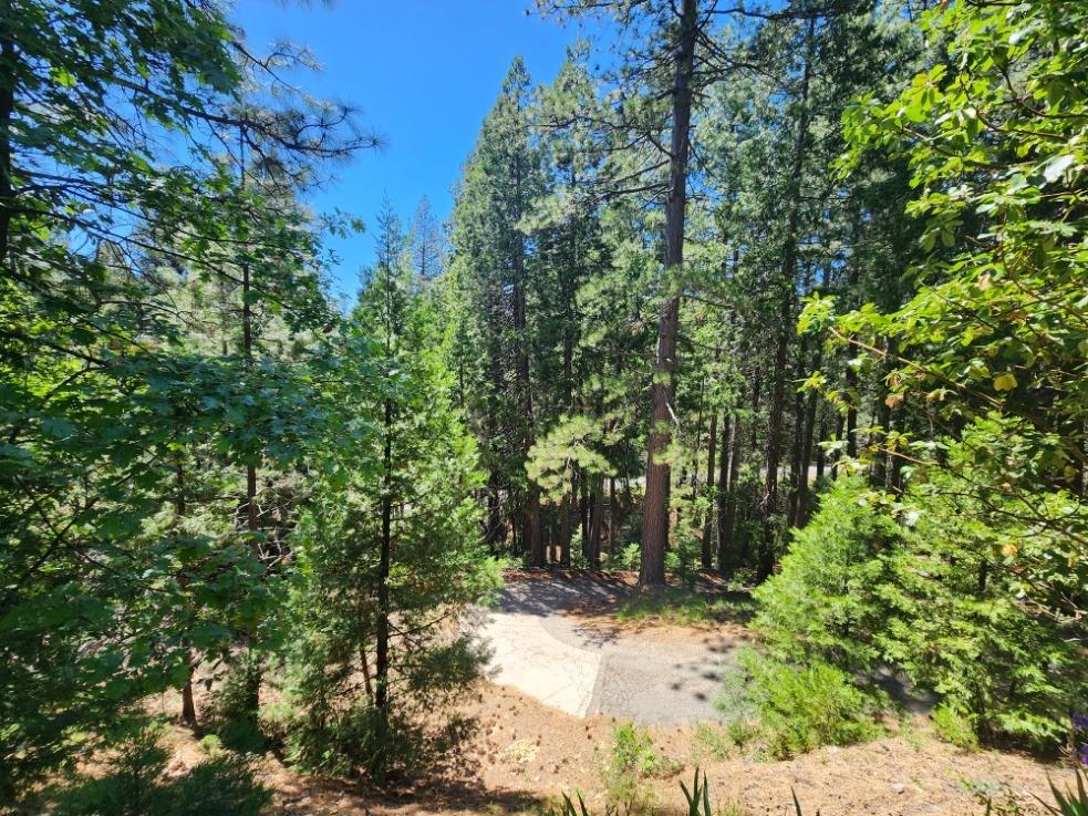 Detail Gallery Image 67 of 84 For 26085 Meadow Dr, Pioneer,  CA 95666 - 3 Beds | 2/1 Baths