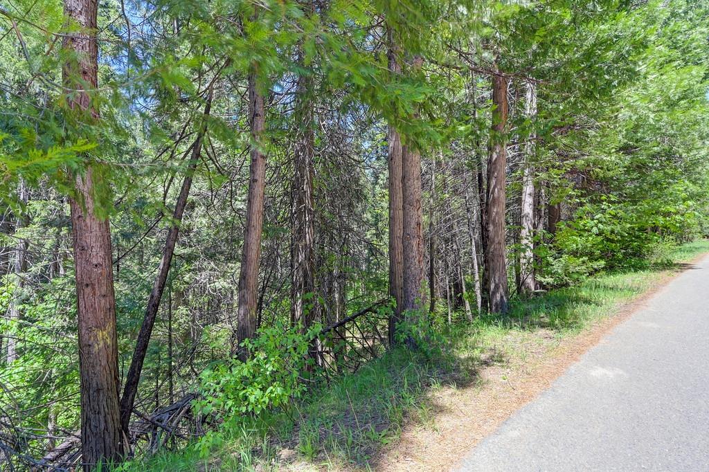 Detail Gallery Image 25 of 40 For 3005 Amber Trl, Pollock Pines,  CA 95726 - – Beds | – Baths