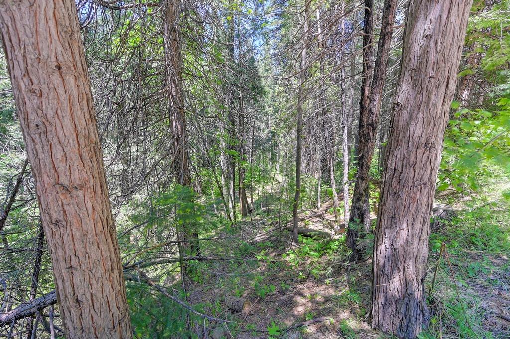 Detail Gallery Image 8 of 40 For 3005 Amber Trl, Pollock Pines,  CA 95726 - – Beds | – Baths