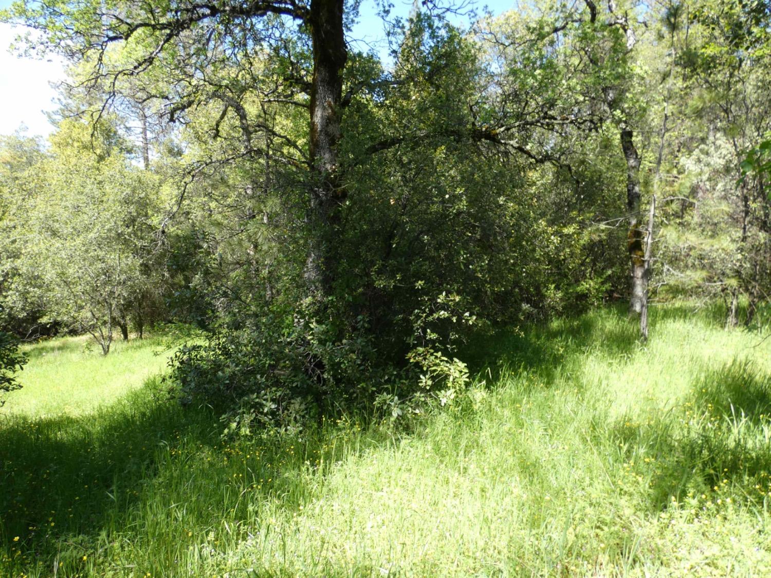 Detail Gallery Image 22 of 23 For 16970 Southridge Dr, Penn Valley,  CA 95946 - – Beds | – Baths
