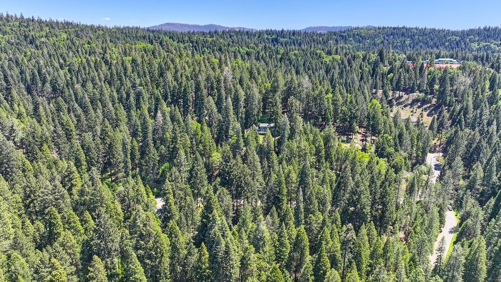 Detail Gallery Image 32 of 40 For 3005 Amber Trl, Pollock Pines,  CA 95726 - – Beds | – Baths