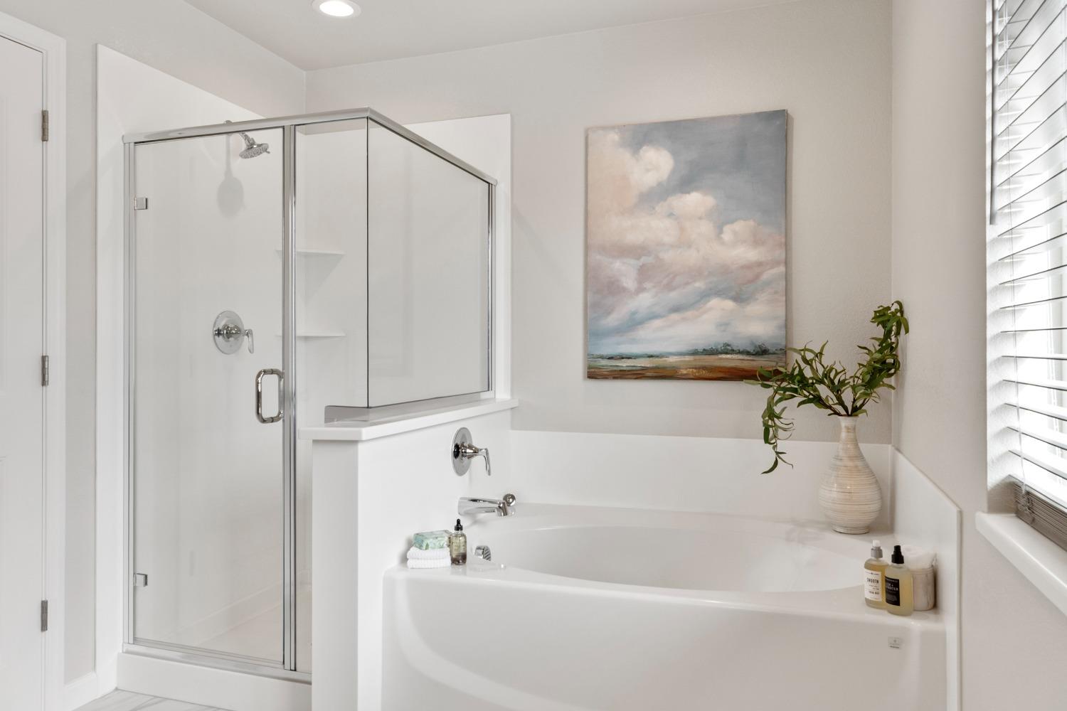 Detail Gallery Image 16 of 36 For 3922 Dedication Dr, Turlock,  CA 95382 - 3 Beds | 2/1 Baths
