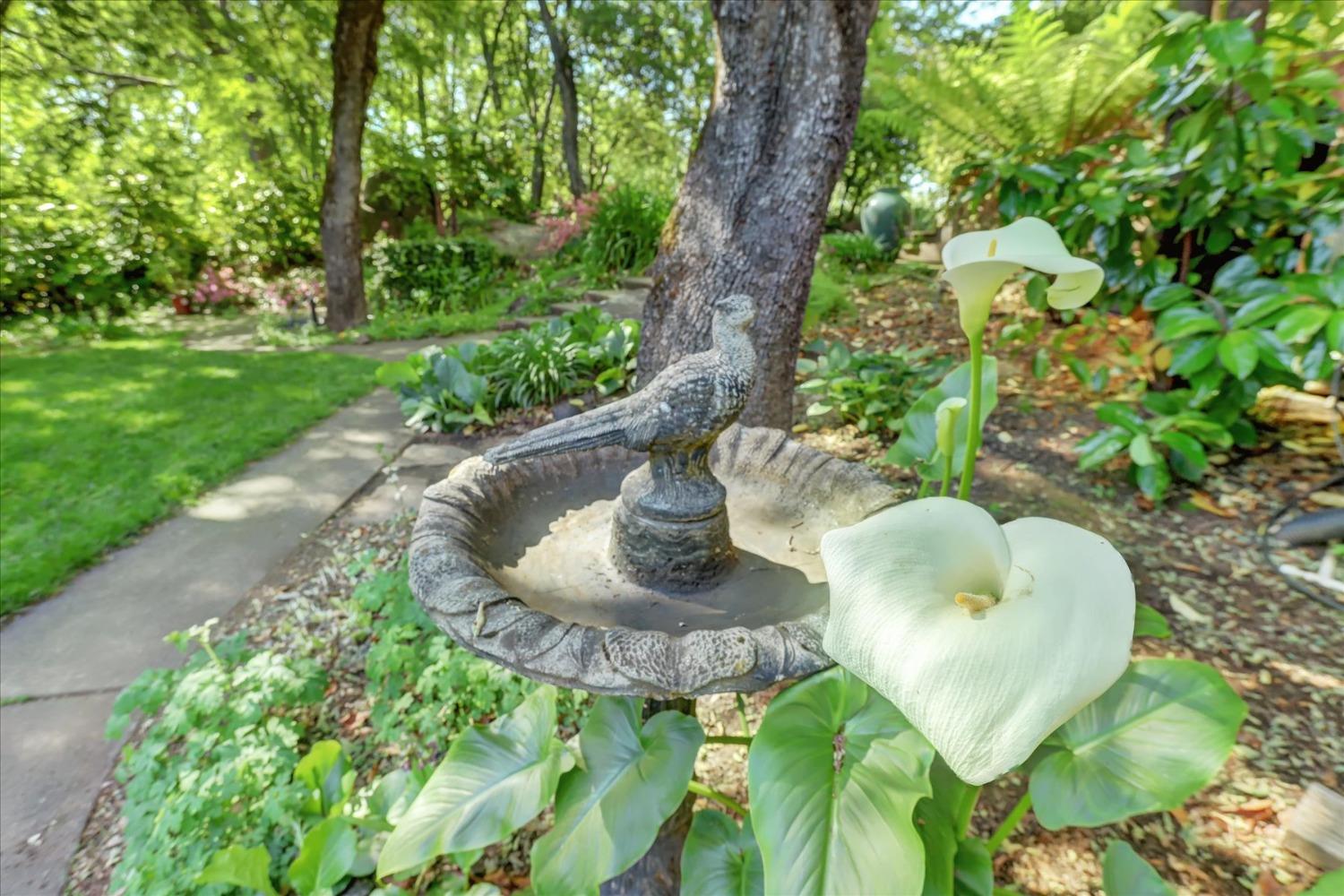 Detail Gallery Image 80 of 99 For 14511 Clear Creek Pl, Grass Valley,  CA 95949 - 3 Beds | 2 Baths