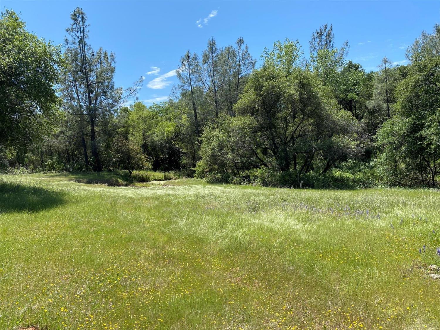 Detail Gallery Image 72 of 99 For 14511 Clear Creek Pl, Grass Valley,  CA 95949 - 3 Beds | 2 Baths